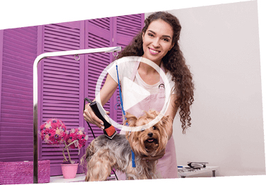 Toiletteur/se<br>d'animaux